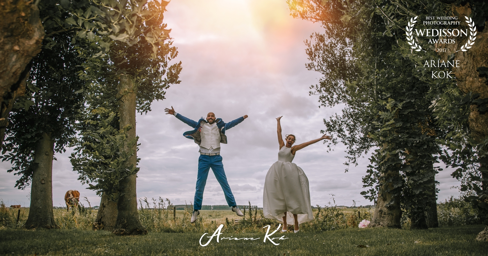 Wedisson Award winning photo